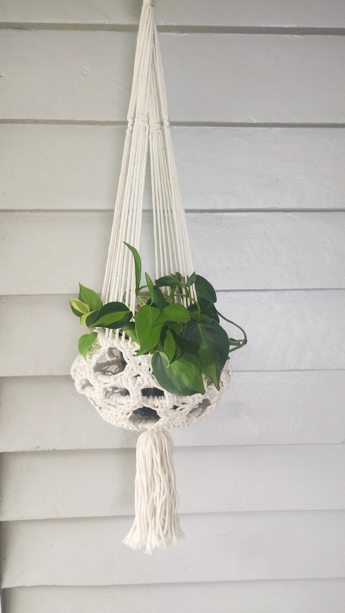 Handmade natural cotton macrame plant hanger with plant.
