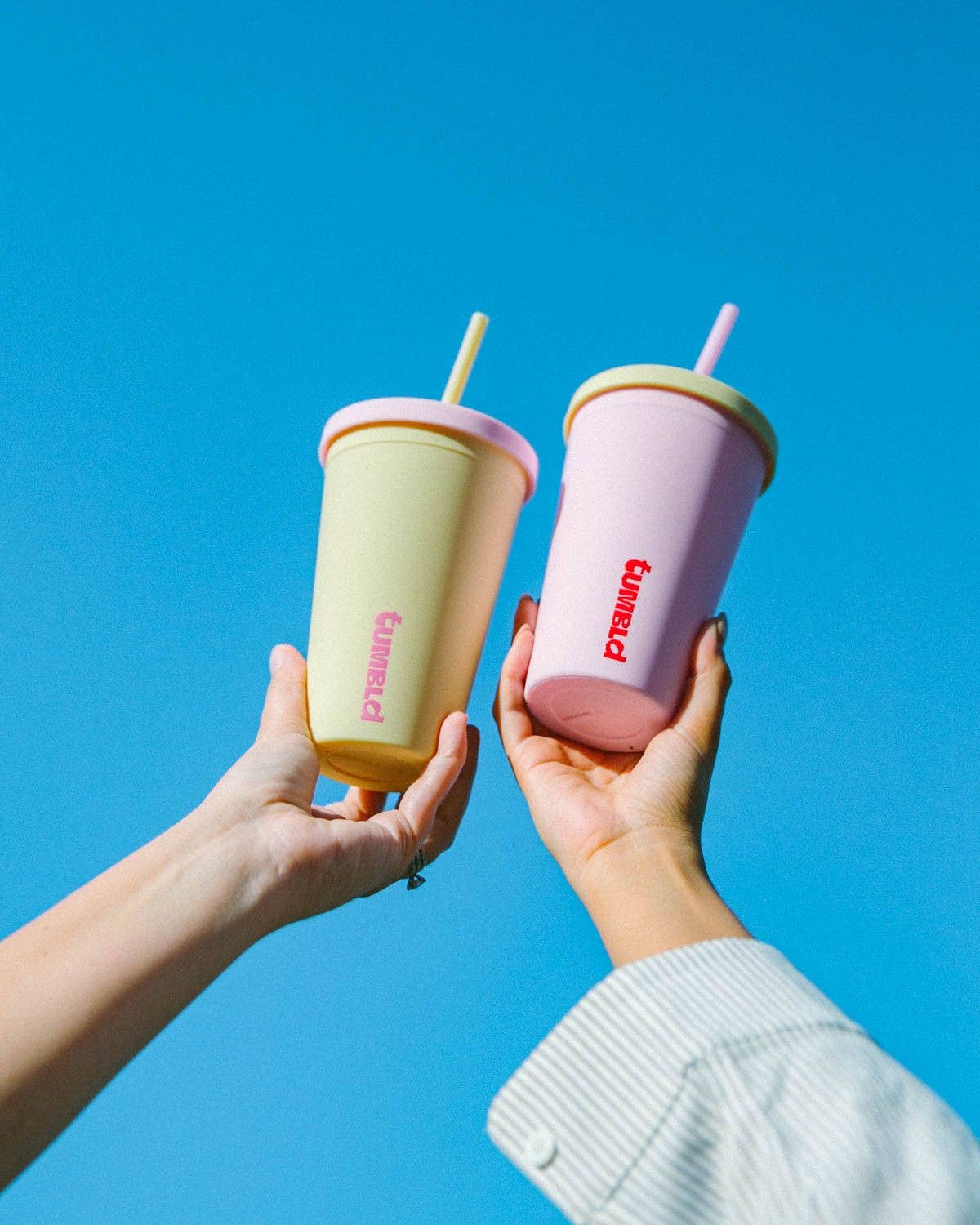 Daily Hydration Insulated Tumbler / Coffee Cup - Watermelon