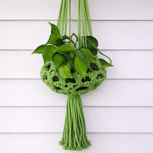 Meadow Macrame Plant Hanger in green, handmade cotton macrame with potted plan.