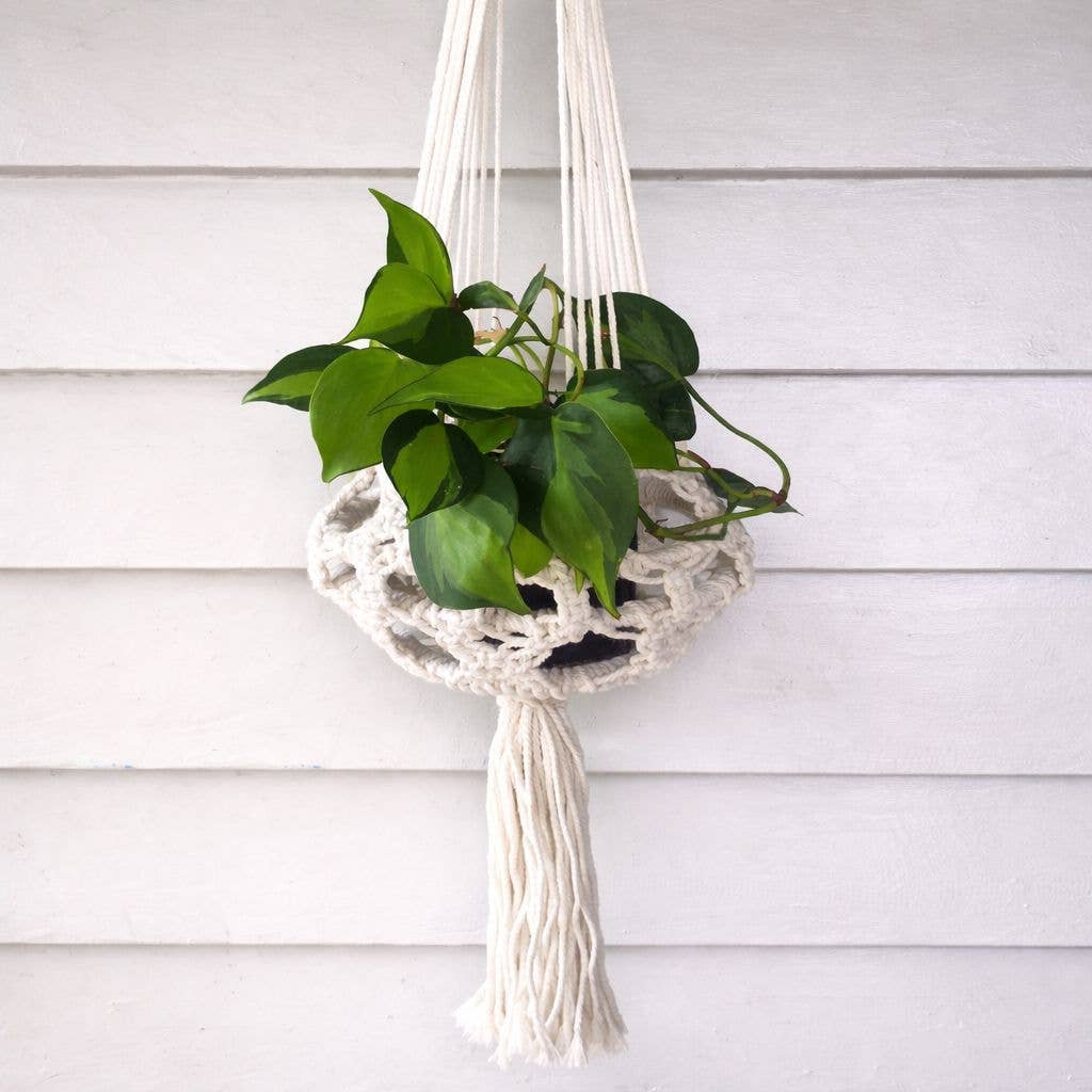 Natural Macrame Plant Hanger, handmade white cotton macrame with potted plant.