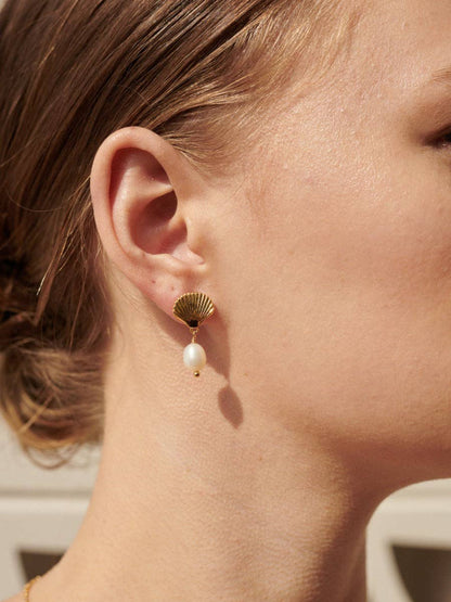 Clamshell Pearl 18K Gold Plated Earrings